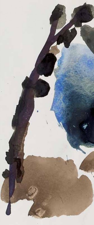 ~/pentaFolder/2016/Pentagramma 2016-4/index_files/Image_068.jpg